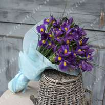 Bouquet of 17 irises