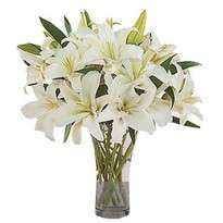 Bouquet of 11 Lilies