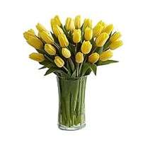 31 жовтий тюльпан