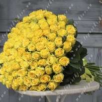 101 yellow rose