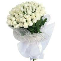 75 белых голландских роз (h90см)