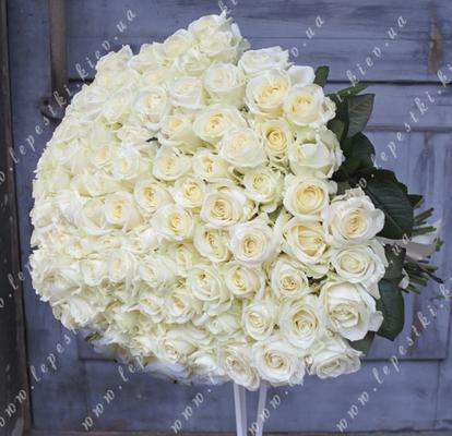 101 white rose