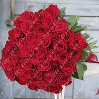 51 красная роза (h 70)