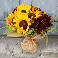 15 подсолнухов