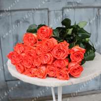 19 roses wow