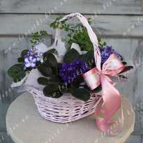 Flower basket "Marlene"