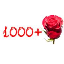 Букет из 1001 розы (h80) Гран При