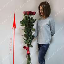 Bouquet of 11 roses 1.20 m