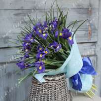Bouquet of charming irises