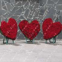Composition of 3 hearts "1001 roses"