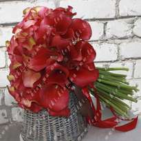 Bouquet of 49 callas