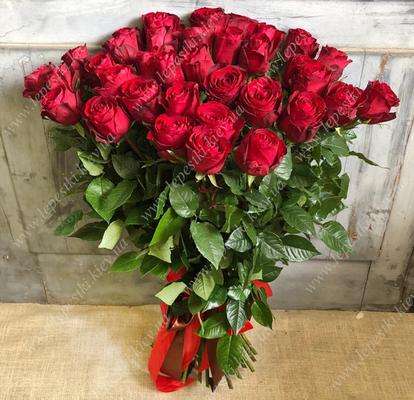 35 красных голландских роз (h80)