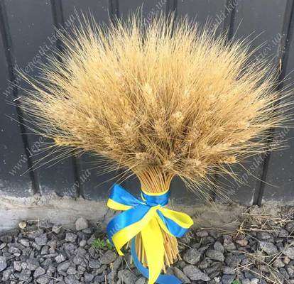 Букет колосков короткий