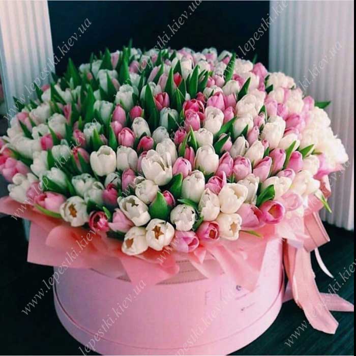 501 тюльпан цветы в ховрино купить