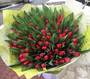 Букет з 131 червоного тюльпана