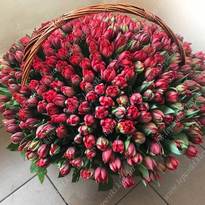 Кошик 301 тюльпан