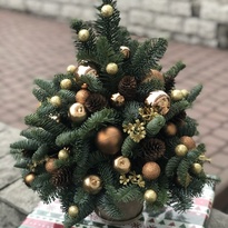 Golden Christmas tree made of live needles