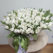 Basket of 251 white tulips