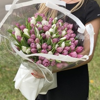 101 біло-фіолетовий тюльпан