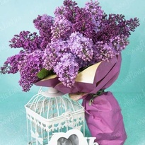 Large bouquet of lilacs
