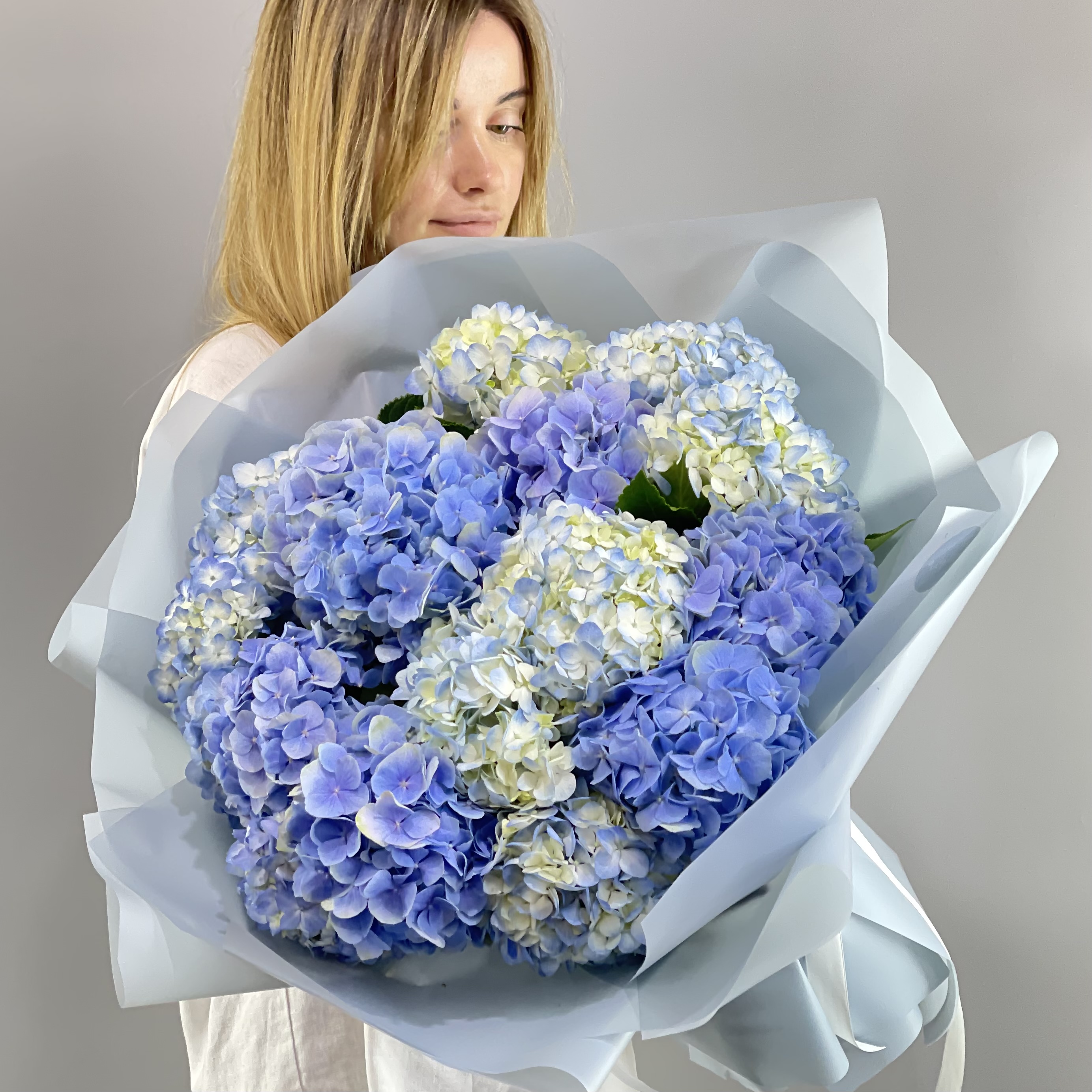 Image of Bouquet of blue hydrangeas