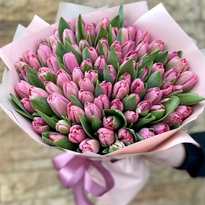 Bouquet of 101 pink tulips