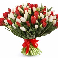 Bouquet of 101 white-red tulips