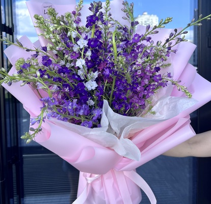 Bouquet of delphiniums
