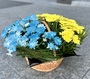 Yellow-blue basket