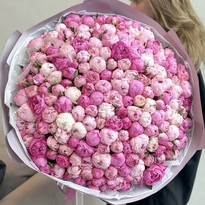 Bouquet of 201 pink peonies