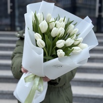 Bouquet of 25 white tulips