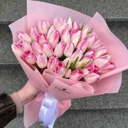 Buy pink tulips | White tulips delivery Kiev