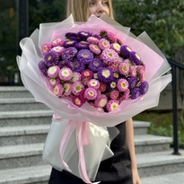 Bouquet of bush asters